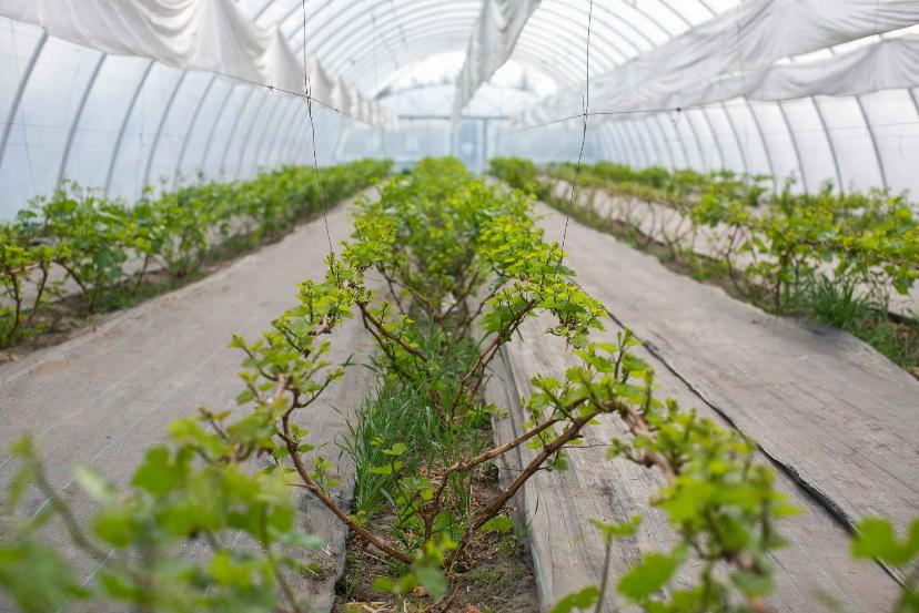 Для сельского хозяйства Для сельского хозяйства